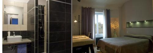 a bathroom with a shower and a sink and a bed at Auberge de la boucle in Moisson