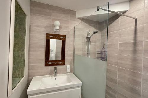 une salle de bain avec un lavabo, un miroir et une douche dans l'établissement maisonnette entre bois et champs, à Crest