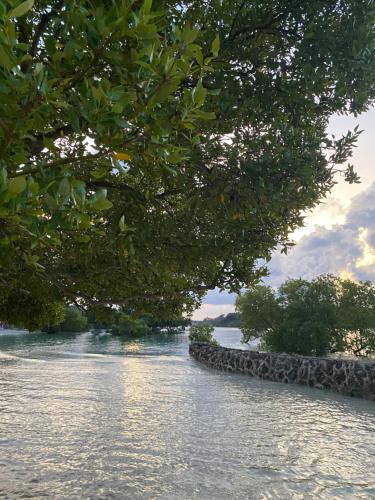a river with a bunch of rocks in the water at RoundHouse in Mombasa