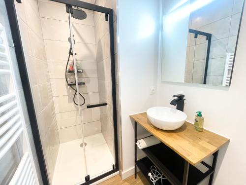 a bathroom with a shower and a sink at Le petit loft in Brest