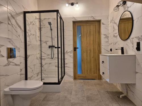 a bathroom with a shower and a toilet and a sink at Apartament z prywatna wanną hydromasaż - U Parów in Białka Tatrzanska