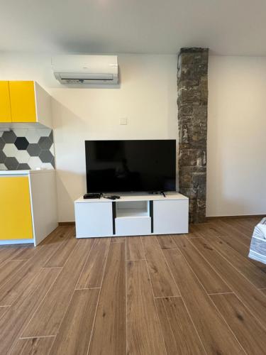 a living room with a large flat screen tv at Apilandia Nanos in Vipava