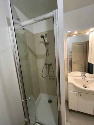 une salle de bain avec douche et lavabo dans l'établissement Les Tilleuls, à Saint-Planchers