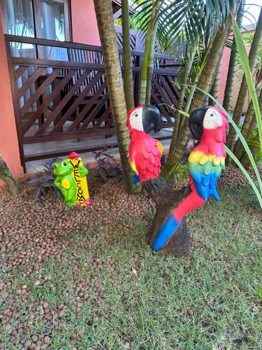 three colorful parrots sitting on a tree next to a bench at Apartamento A-11 Pipa Beleza Resort in Pipa