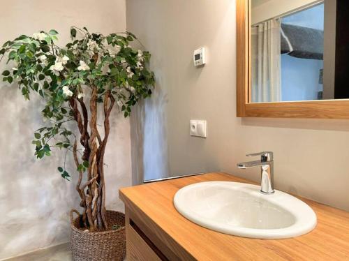 a bathroom with a sink and a potted tree at Ker Agak Maison vue mer panoramique pour 7 pers in Plougasnou
