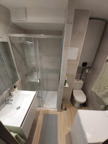 une salle de bain avec une douche, un lavabo et des toilettes dans l'établissement Studio climatisé, parking, 5mn de la plage, à Saint-Cyr-sur-Mer