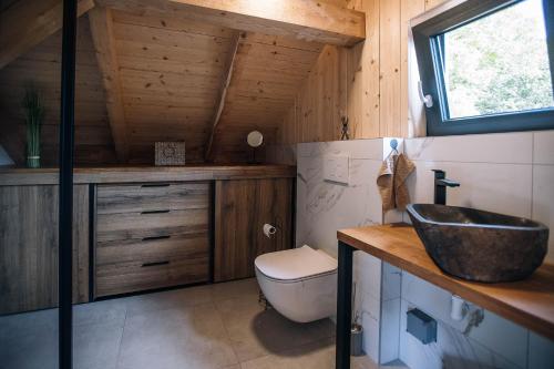 a bathroom with a sink and a toilet at Štajerska sivka - Jacuzzi & Savna in Maribor