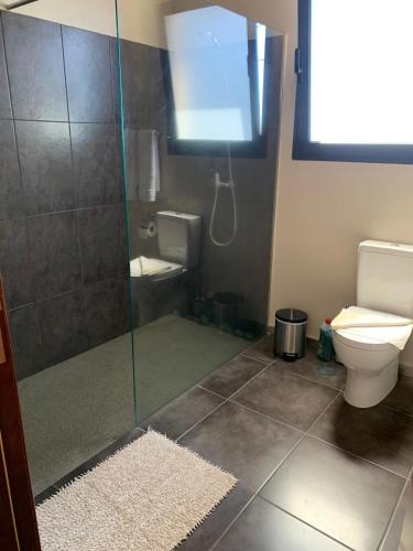 a bathroom with a shower and a toilet at Villa Pinheira I in Calheta