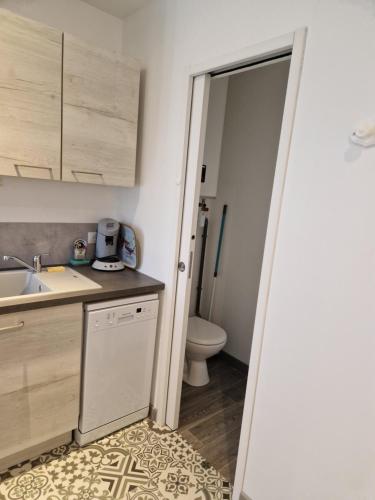 Ένα μπάνιο στο Gîte studio 2 pers Le Bleuet entre Loire et Sologne