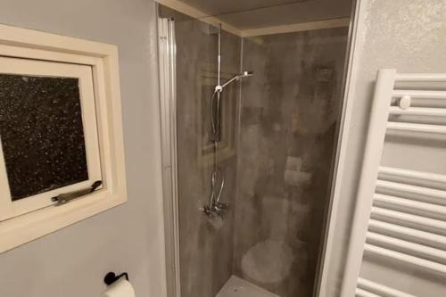 baño con cabina de ducha y ventana en Chalet Baaium, en Baijum