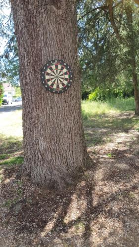 a tree with a target on the trunk of it at Aux Chambres des Dames in Chisseaux