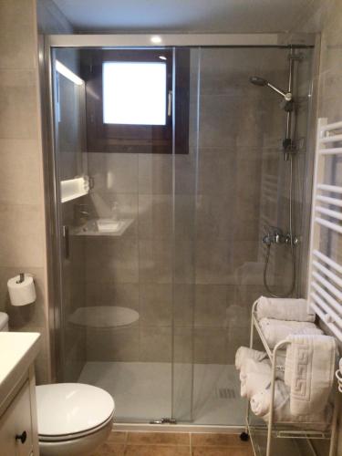 a bathroom with a glass shower with a toilet at Paso del Onso in Escarrilla