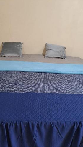 a blue bed with two pillows on top of it at hospedaje san Agustin in Garita