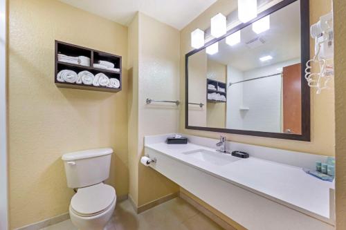 a bathroom with a toilet and a sink with a mirror at Best Western Edgewater Inn in Edgewater