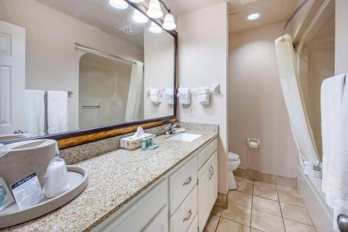 Ένα μπάνιο στο Best Western Spring Hill Inn & Suites