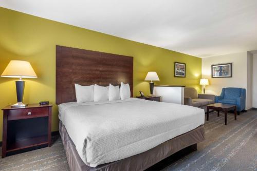 Letto o letti in una camera di Best Western Plus Mansfield Inn & Suites