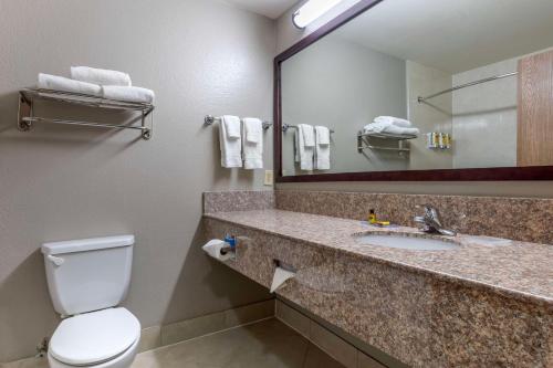 Bagno di Best Western Plus Mansfield Inn & Suites