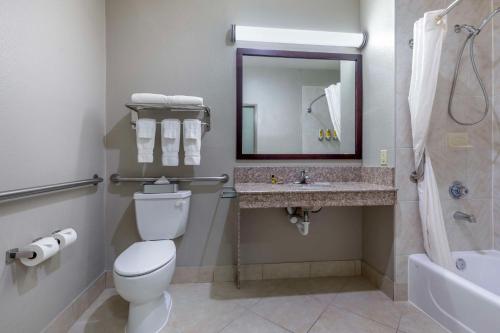 Bagno di Best Western Plus Mansfield Inn & Suites