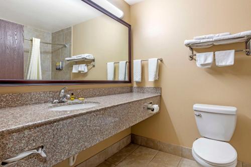 a bathroom with a toilet and a sink and a mirror at Best Western Plus Burleson Inn & Suites in Burleson
