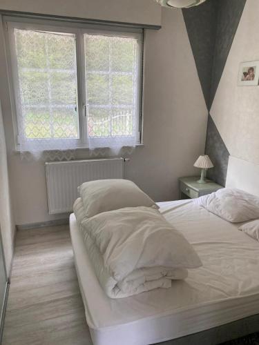 Maison confortable à Muhlbach-sur-Bruche, terrain de 6000 m².