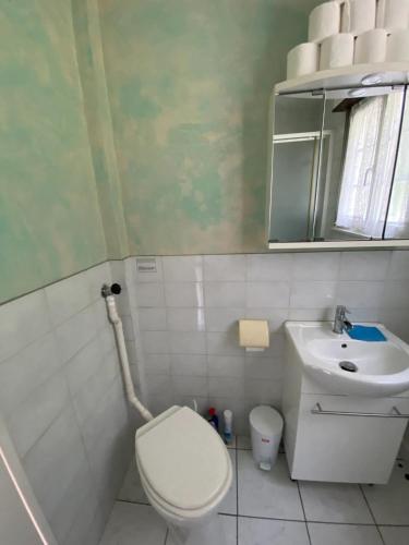 une petite salle de bain avec toilettes et lavabo dans l'établissement Maison confortable à Muhlbach-sur-Bruche, terrain de 6000 m²., à Muhlbach-sur-Bruche