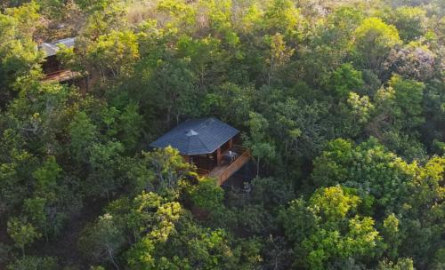 an overhead view of a house in the middle of a forest at Ecolodge La Corocora in Monterrey