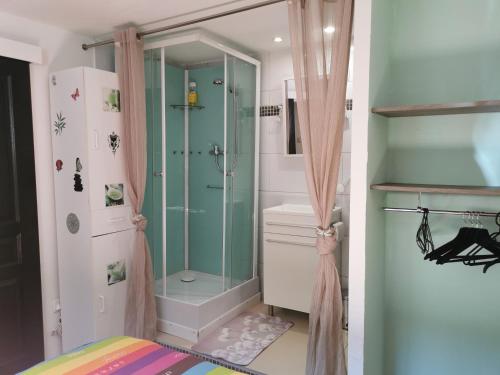 bagno con doccia in vetro di Bas de villa avec jardin, piscine et jacuzzi a La Seyne-sur-Mer