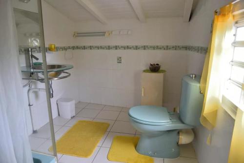 a bathroom with a blue toilet and a sink at Appartement charmant à Le Gosier avec vue sur la mer, 110 m² in Le Gosier