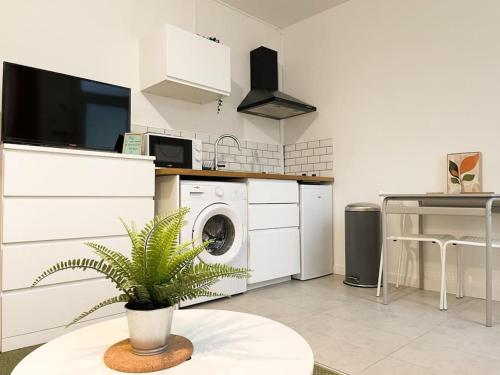 une cuisine avec une machine à laver et une plante sur une table dans l'établissement Le terra apaisant - 5 min de la gare, à Tours