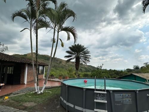 a swimming pool with palm trees and a house at Casa Campestre Buga Parcelación Paraiso de Sonsito in Buga
