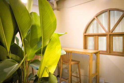 麦德林Mascomunal hostel的相册照片