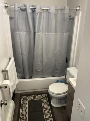 a bathroom with a shower curtain and a toilet at 410 e45th 2 bedroom apartment in Anchorage