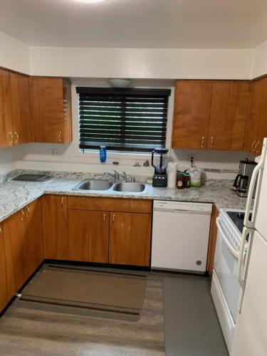 a kitchen with a sink and a counter top at 410 e45th 2 bedroom apartment in Anchorage
