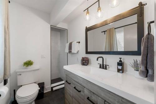 a bathroom with a sink and a toilet and a mirror at New Bensenville Home by O'Hare Airport with Indoor Pool, Sauna, and Arcade in Bensenville