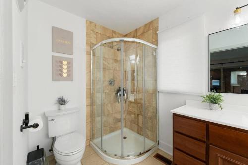 a bathroom with a shower and a toilet and a sink at New Bensenville Home by O'Hare Airport with Indoor Pool, Sauna, and Arcade in Bensenville