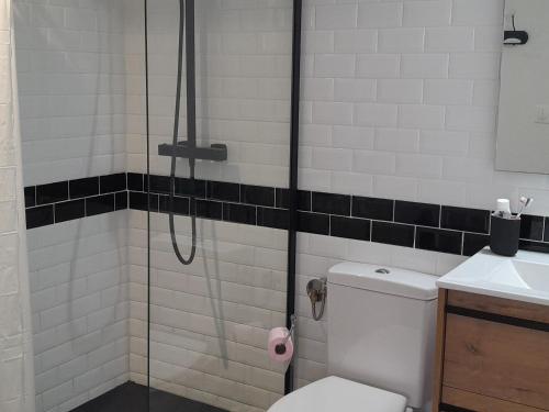 une salle de bain avec une douche avec des toilettes et un lavabo dans l'établissement Villa Patio 4 Couchages, Plage à Pied, Surf Spot, Wifi, Parking, Capbreton - FR-1-239-1078, à Capbreton