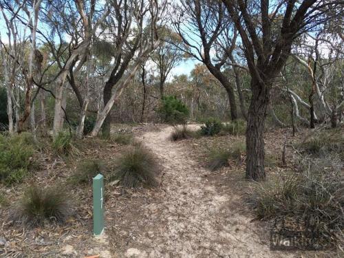 Paysage naturel près de la maison de vacances