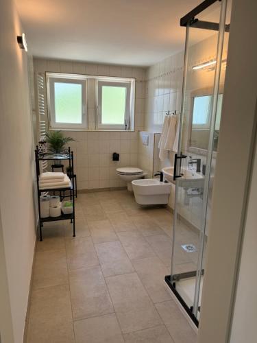 un bagno con un water e un lavandino di Apartma Mimi a Bohinj