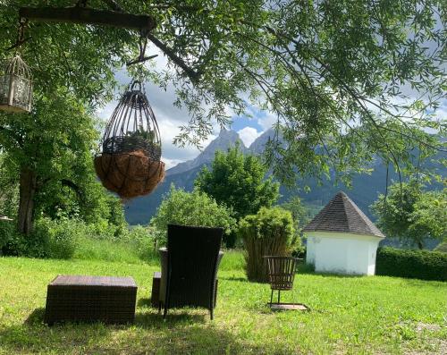 a chair and a basket hanging from a tree at Wengerwirt zur Laube Komfortzimmer Deluxe in Weng im Gesäuse