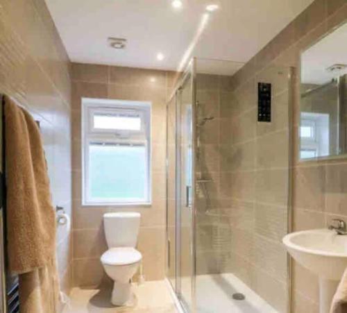 a bathroom with a toilet and a shower and a sink at Conker's Lodge on Ashbury Resort, Dartmoor Devon in Okehampton