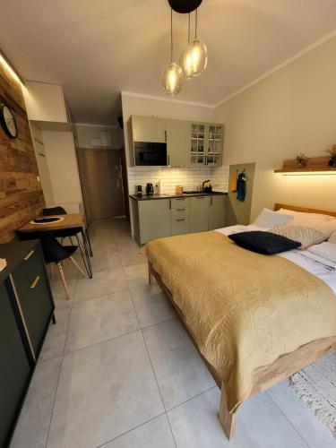 Widok na las, Pod Reglami studio