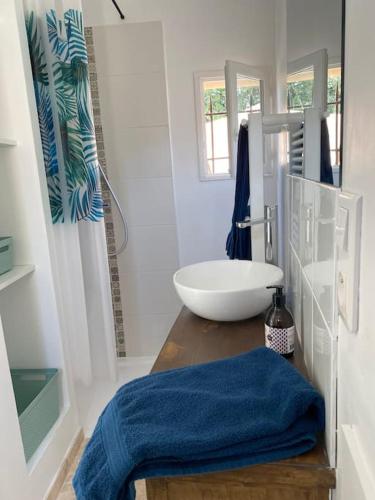 La salle de bains est pourvue d'un lavabo et d'un bol blanc. dans l'établissement Mazet en Provence dans propriété équestre, à Graveson