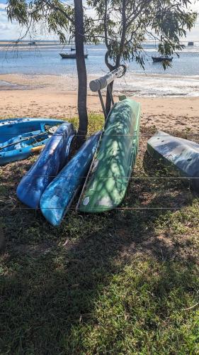a group of kayaks lined up under a tree on the beach at Seaview - Charming Two-Bedroom Home with Stunning Views of the Historic Bay of 1770 in Seventeen Seventy