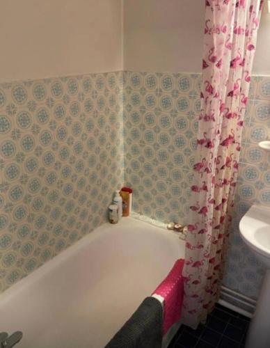 une salle de bain avec une baignoire et un lavabo dans l'établissement Amazing Eiffel views cool area, à Paris