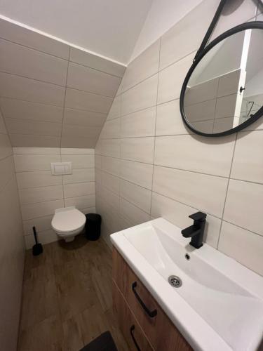 a bathroom with a sink and a mirror and a toilet at Statek in Libice nad Cidlinou