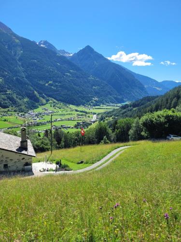 a road in a field with mountains in the background at casa Battilana Li Curt - Poschiavo in Prada