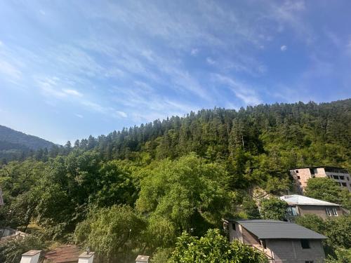 a view of a mountain with trees and buildings at Ori Villa in Likani