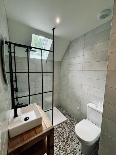 une salle de bain avec un lavabo et des toilettes dans l'établissement La haut Maison a la campagne, à Mandailles