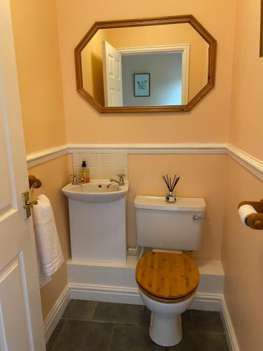 a bathroom with a toilet and a sink and a mirror at Home outside Abergavenny in Llanfaenor
