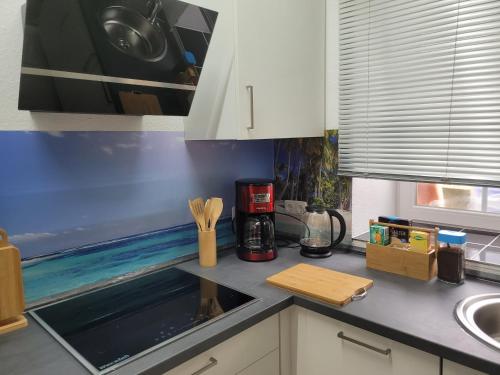 a kitchen with a sink and a counter top at Unseburger Brauhaus GmbH Ferienwohnung 6 in Unseburg